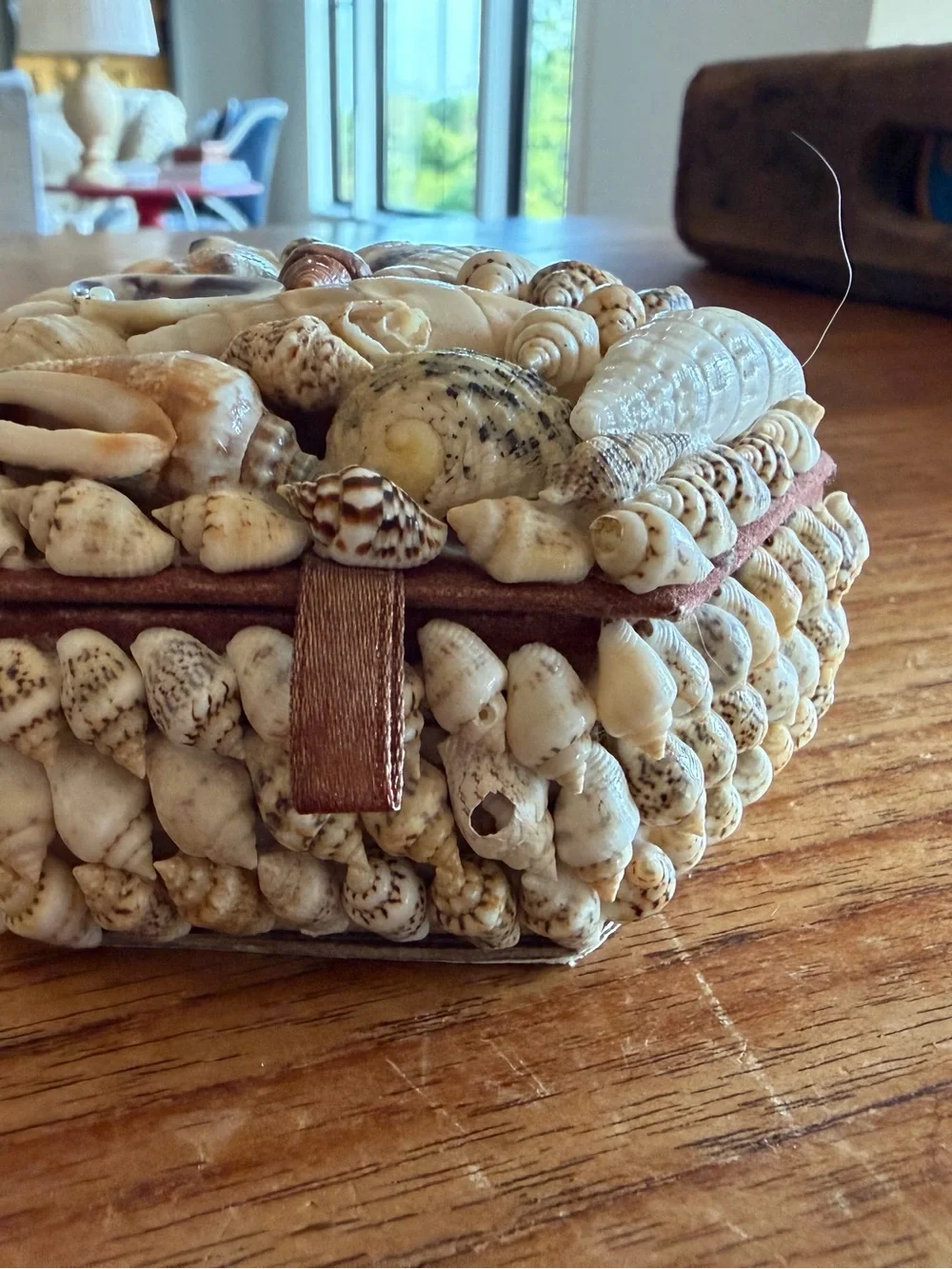 Vintage Source Unknown Seashell Accent Box in Cream and Tan Trinket Box